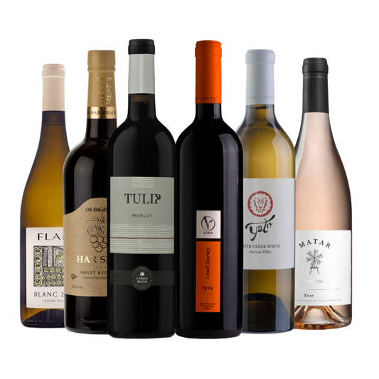 Falafel & Fermentation