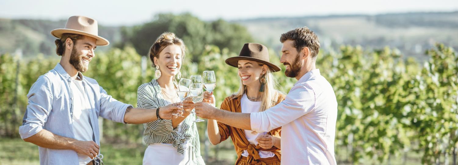 A group of friends joyfully toasting with glasses of wine in a sunny vineyard, embodying a sense of community and celebration.