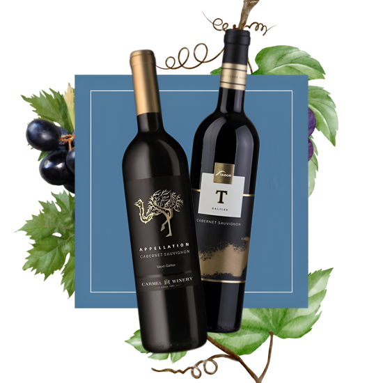 Two bottles of Cabernet Sauvignon wine with a background of grapevines and leaves against a blue square frame.