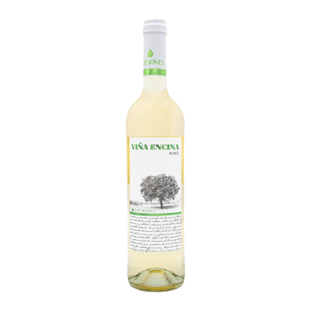 Elvi Vina Encina White 2024