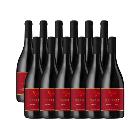 Maresha Tel Maresha Boragin 2017 (Case)