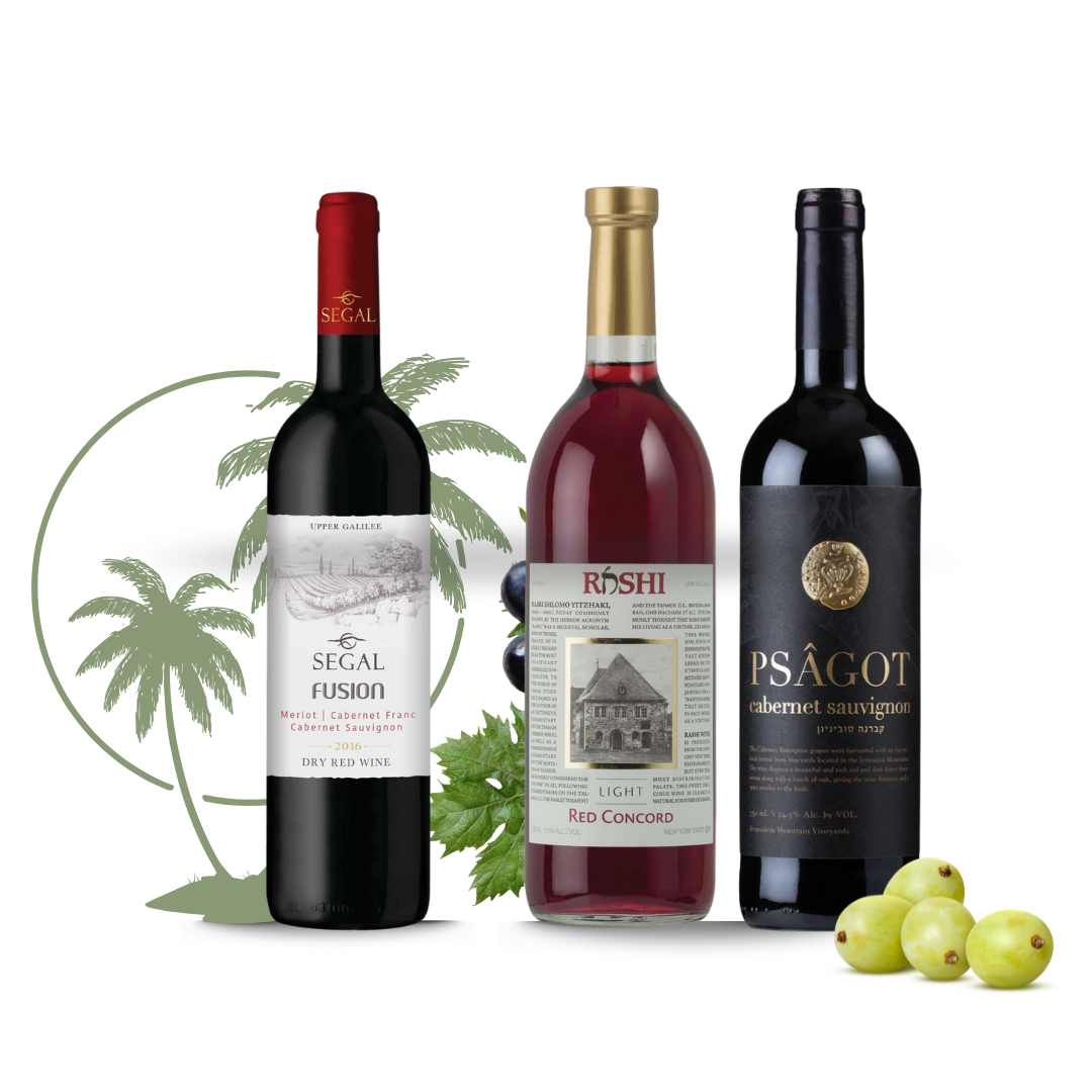 Three bottles of red wine displayed side by side — Segal Fusion, Roshi Red Concord, and Psagot Cabernet Sauvignon — with decorative grapes, grape leaves, and palm tree graphics in the background.