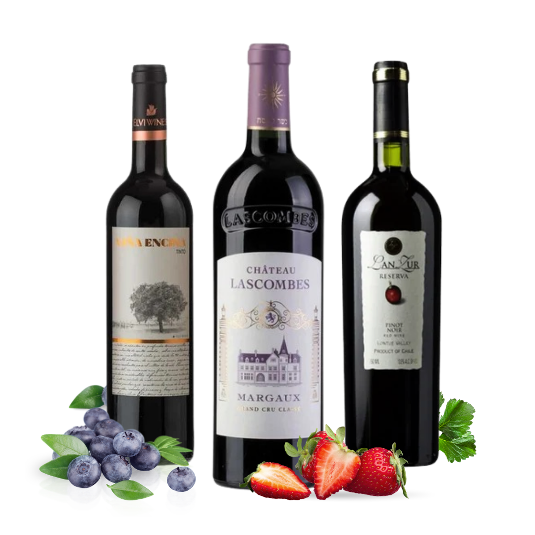 Three red wine bottles arranged side by side on a white background, with grapes, strawberries, blueberries, and green leaves placed around them. The bottles appear to be wine products, with visible labels including Château Lascombes Margaux and other wine branding.