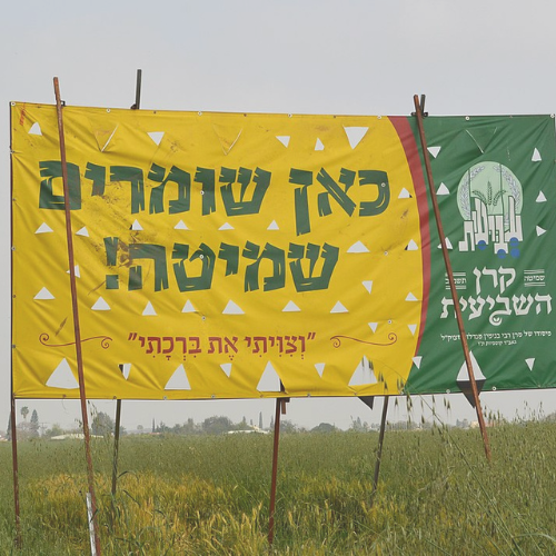 Two banners flanking a field, one yellow with Hebrew text signifying Shmita observance, and the other green promoting agricultural awareness, against a backdrop of wildflowers and crops.