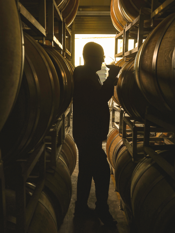 Silhouette of Amichai Lourie tasting wine from a glass, standing between rows of wine barrels in a dimly lit cellar.