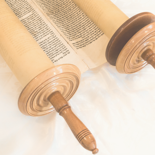 An open Torah scroll with Hebrew text visible, placed on a white surface, highlighting the wooden handles and parchment.