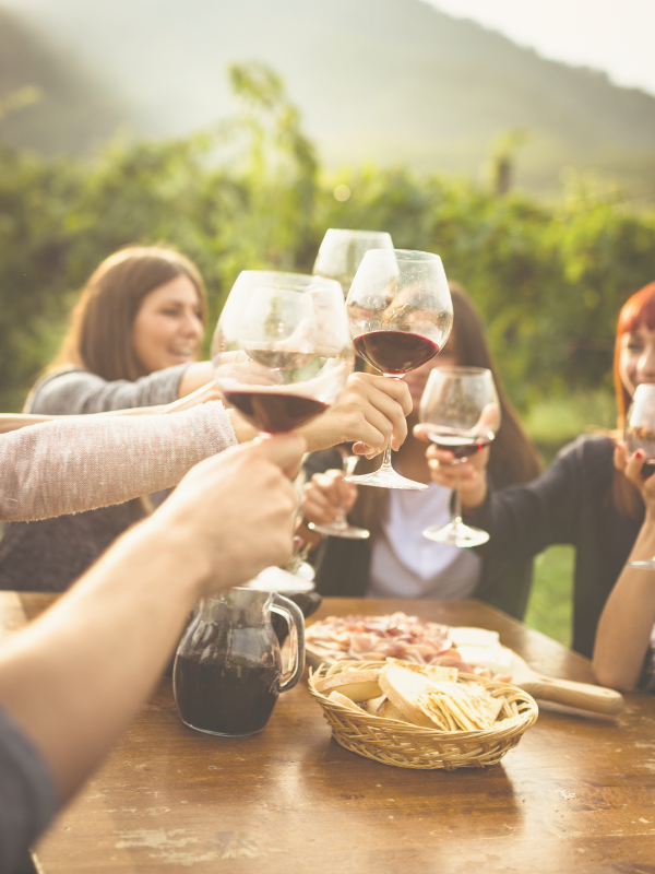 friends doing a wine tasting