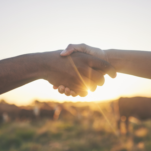 Two hands clasped in a handshake with a glowing sunrise over a farm or vineyard in the background.