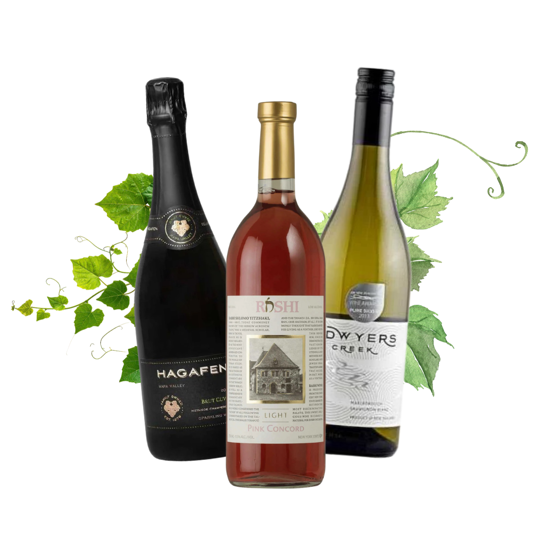 Three wine bottles with labels on a white background with green leaves.