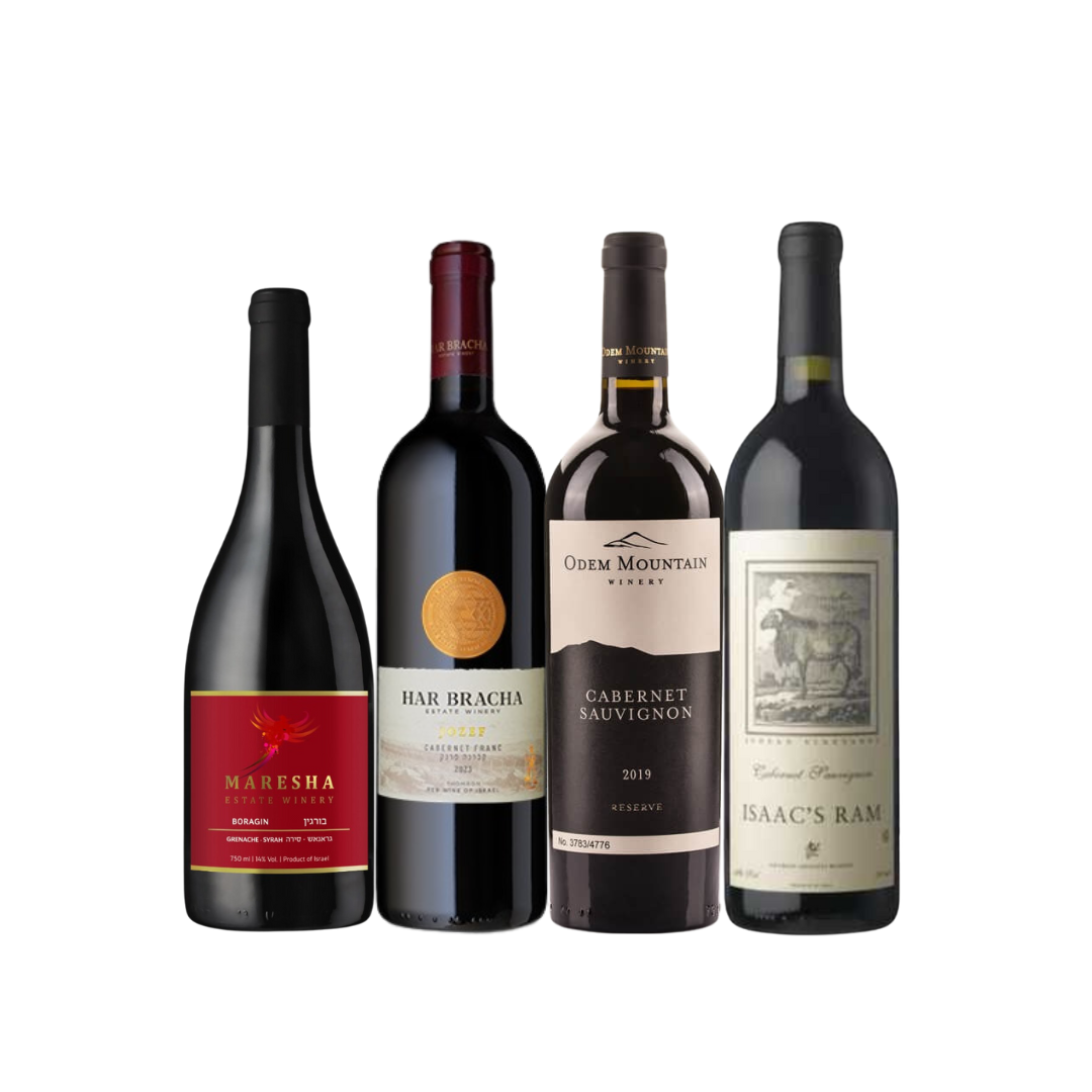 Israeli Red Wine Mixed Case