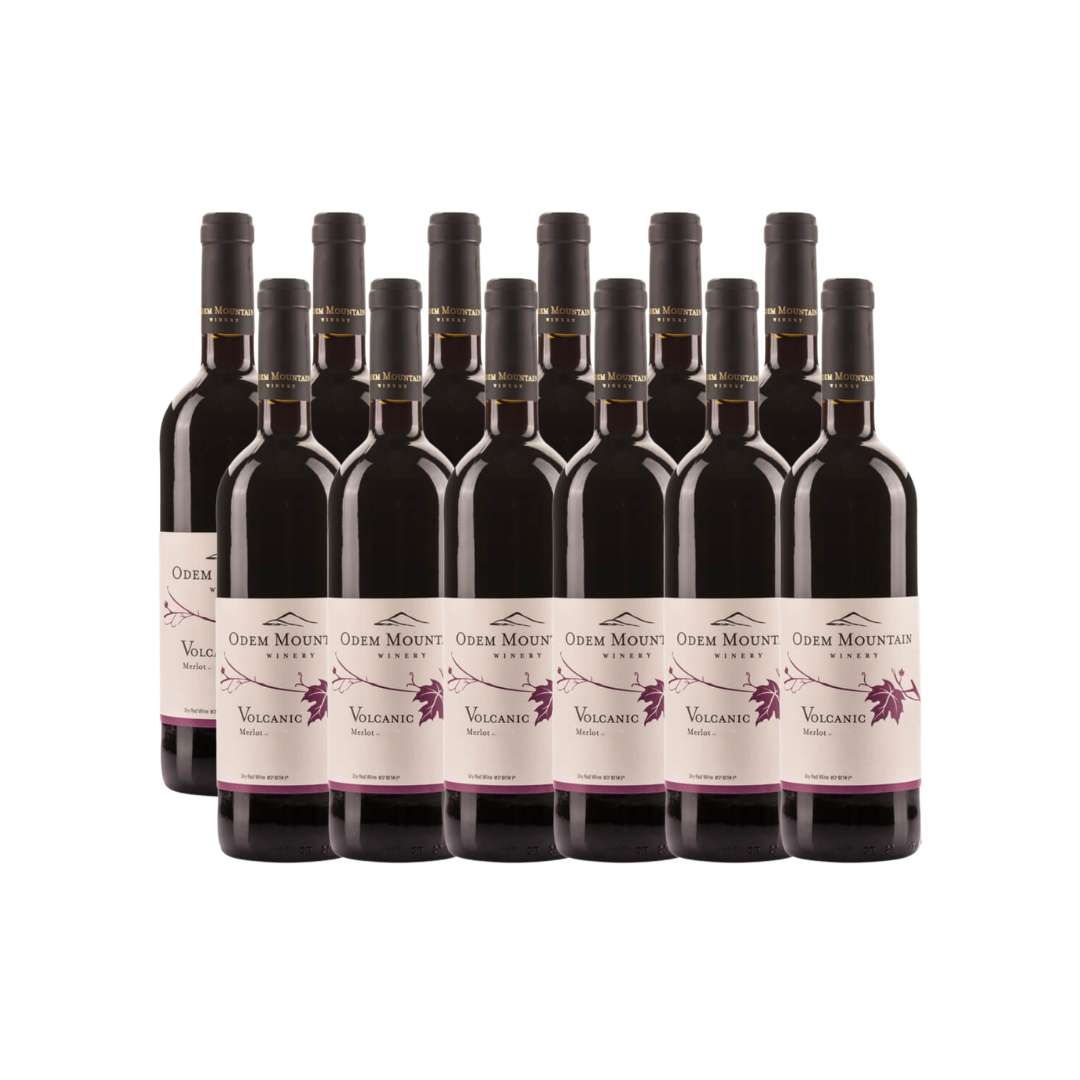Odem Mountain Volcanic Merlot 2023 (Case)