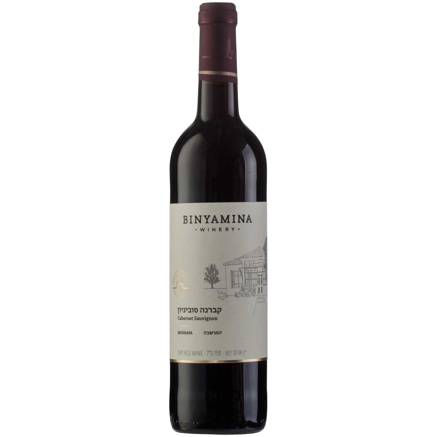 Binyamina Moshava Cabernet Sauvignon 2020-Cabernet Sauvignon-Binyamina-Kosher Wine Warehouse