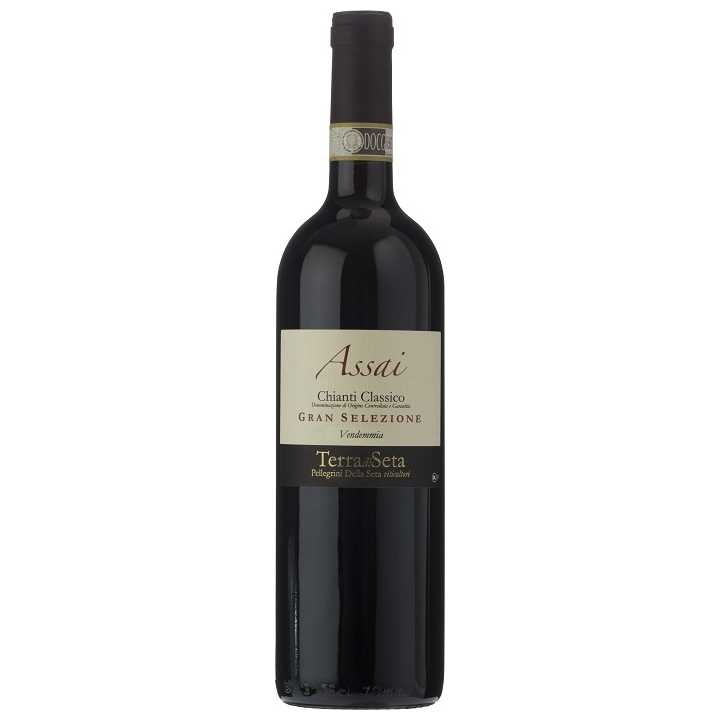 Terra Di Seta Assai Chianti Classico 2015-Chianti-Terra Di Seta-Kosher Wine Warehouse