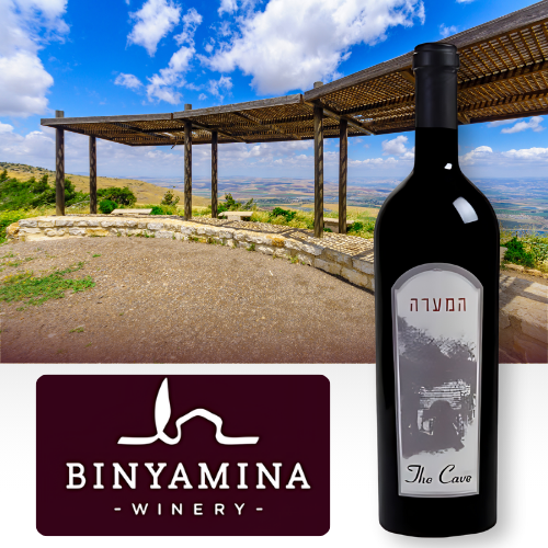 From Perfumes to Premium Wines: The Legacy of Binyamina Wine