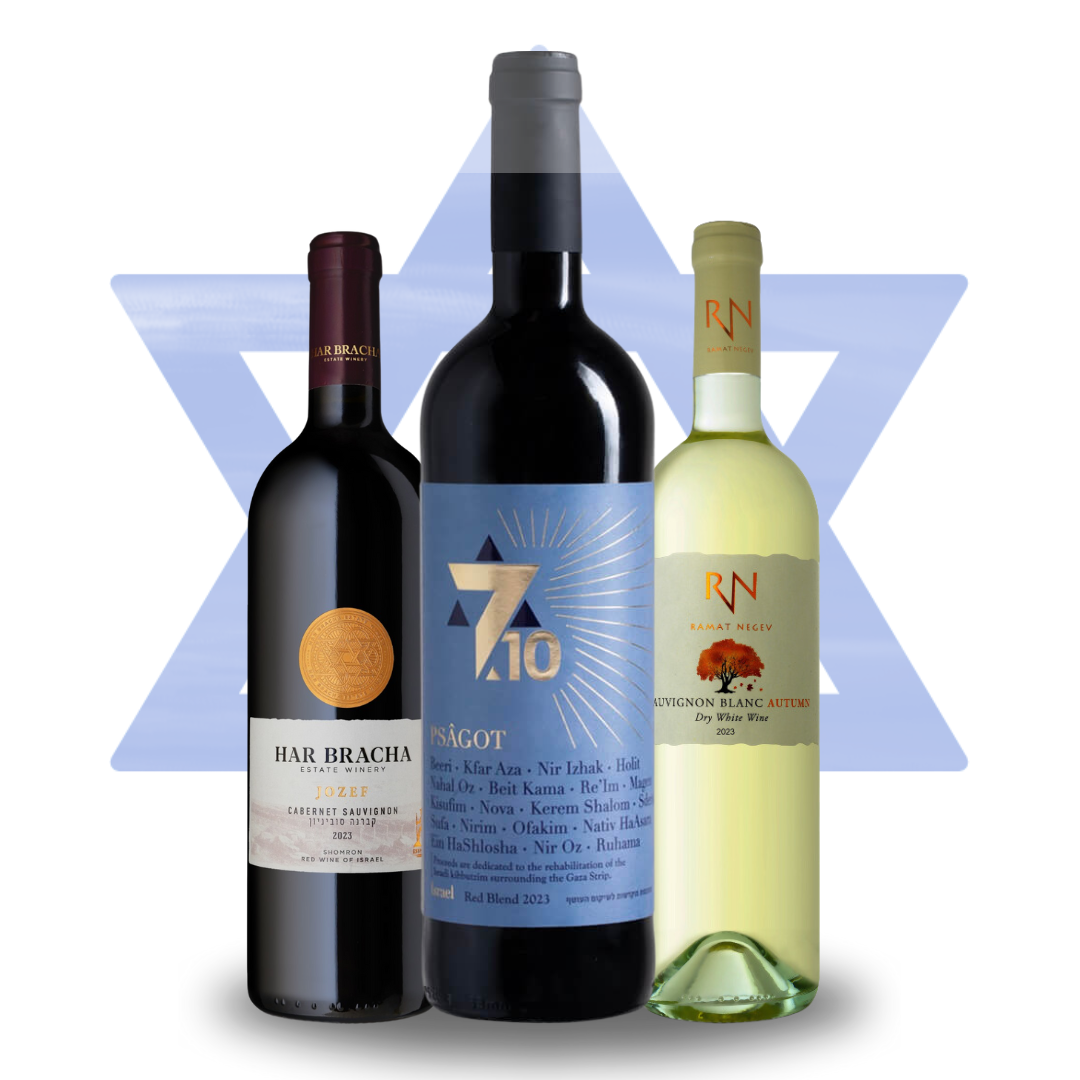 Am Yisrael Chai 7.10 Remembrance Trio
