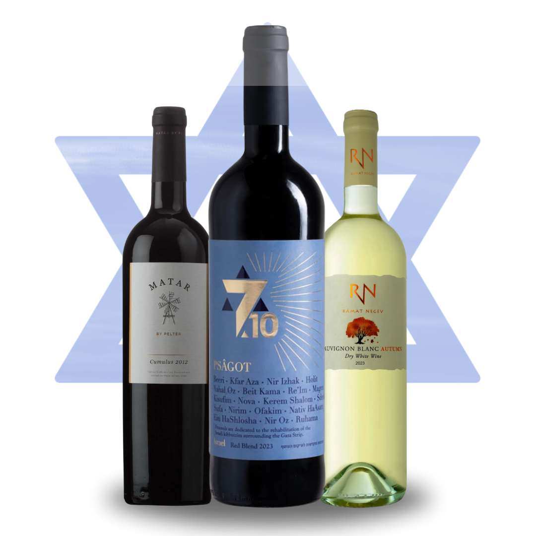 Am Yisrael Chai 7.10 Remembrance Trio