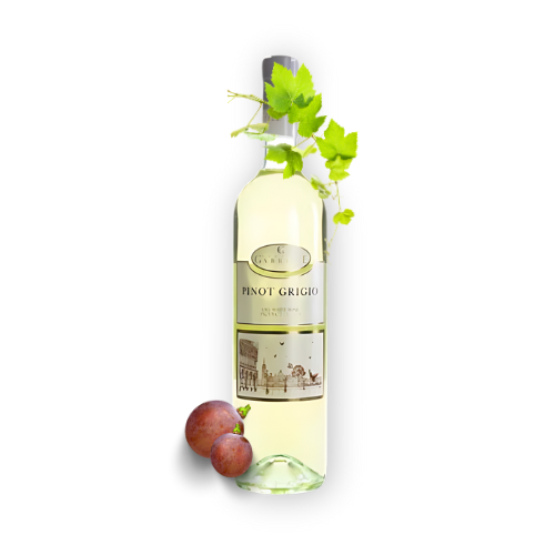 A bottle of Cantina Gabriele Pinot Grigio wine with green leaves and red grapes in the background.