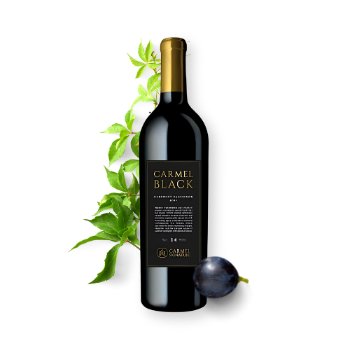 A bottle of Carmel Signature Black Cabernet Sauvignon 2021