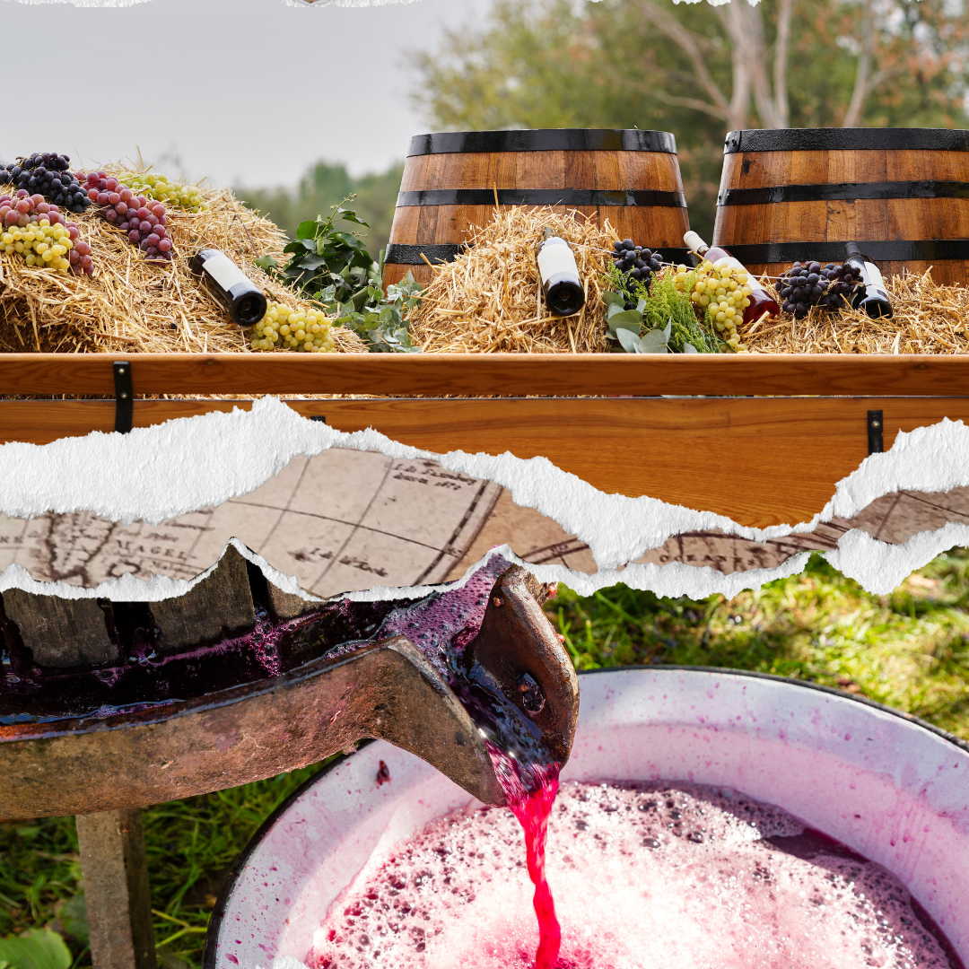 A torn paper montage illustrating the winemaking process with a top view of grape clusters and bottles on straw with wooden barrels, a middle section showing wine barrels and vintage maps, and a bottom view of freshly pressed grape juice flowing into a vat.