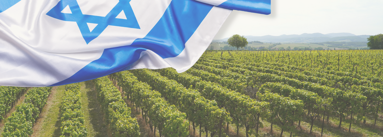 Israel Flag with a vineyard in a background