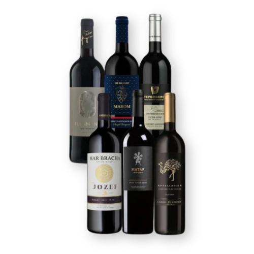 Six bottles of Israeli red wines, featuring a variety of labels and vintages.