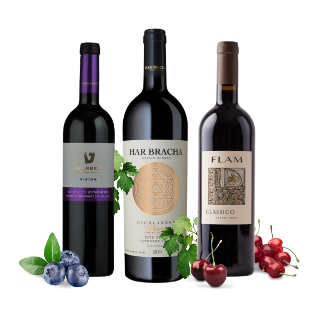 Three Israeli wine bottles arranged together on a white background, with blueberries, cherries, and green leaves placed around them. The center bottle is Har Bracha, flanked by two other dark bottles with purple and brown accents.