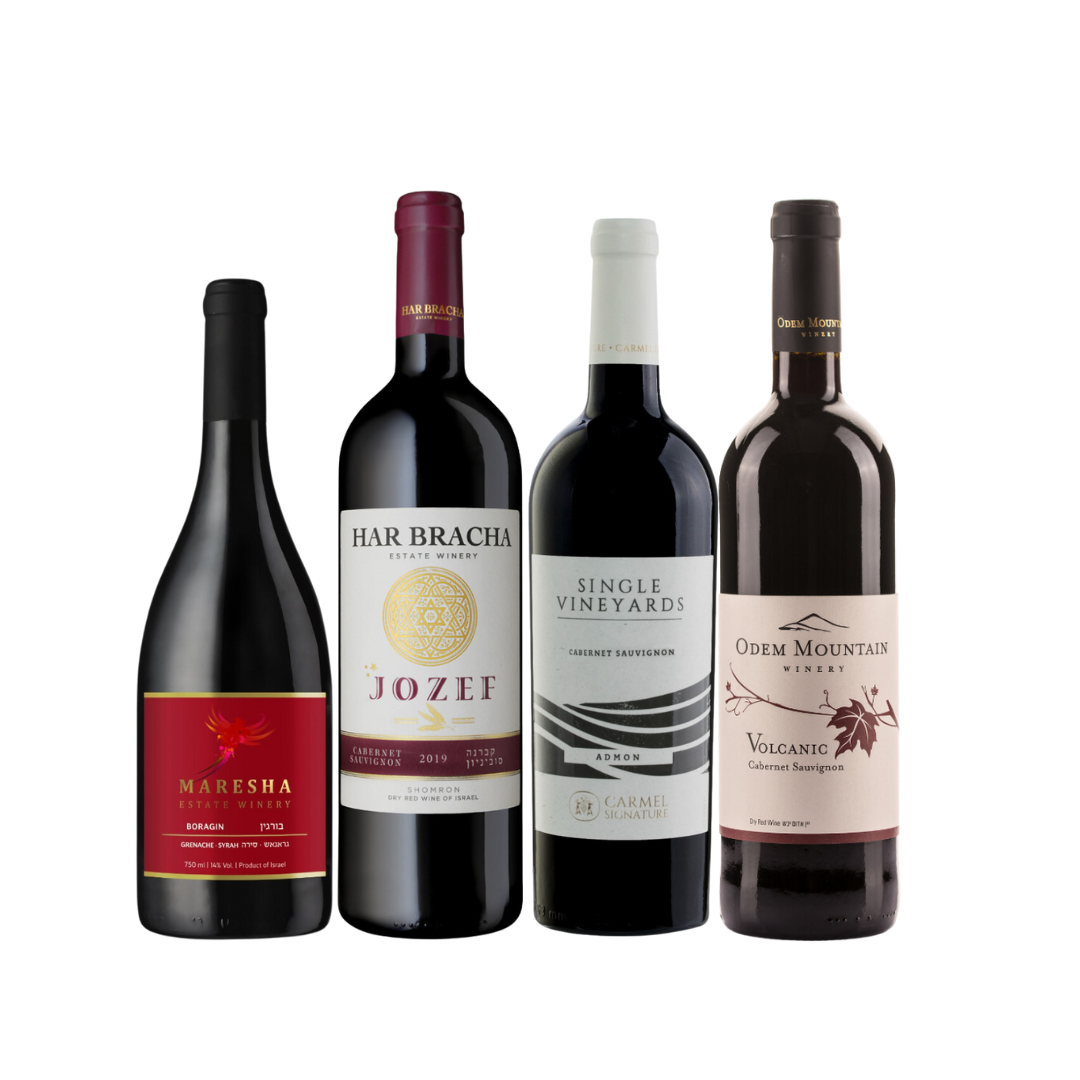 Israeli Red Wine Mixed Case