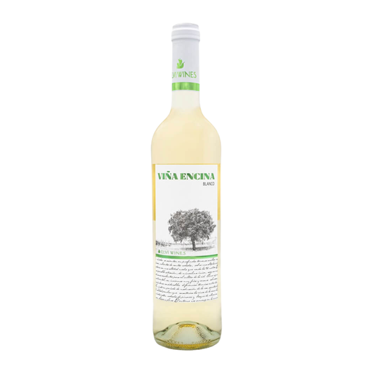 Elvi Vina Encina White 2024