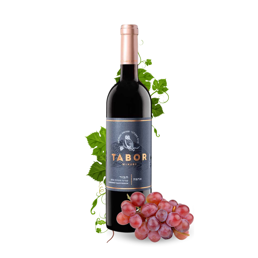 Tabor Adama Shiraz