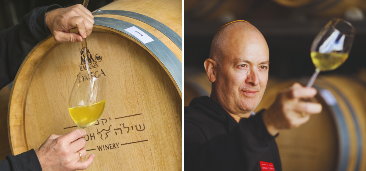 A composite image of Amichai Lourie sampling wine from an oak barrel using a wine thief and examining the wine in a glass.