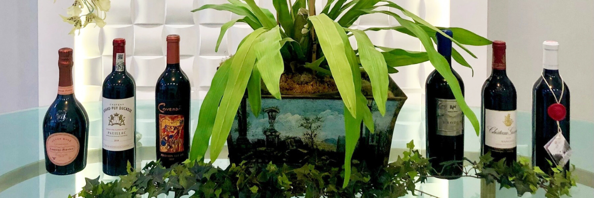 Collection of wine bottles on a reflective surface with a plant in the center.