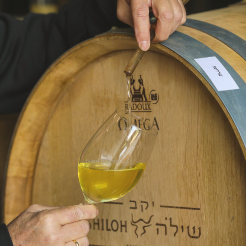 Amichai Lourie is using a wine thief to sample yellow wine from an oak barrel into a wine glass. The barrel is marked with the 