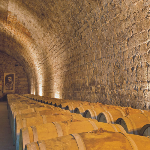 A wine cellar with rows of wooden barrels and a stone archway ceiling.