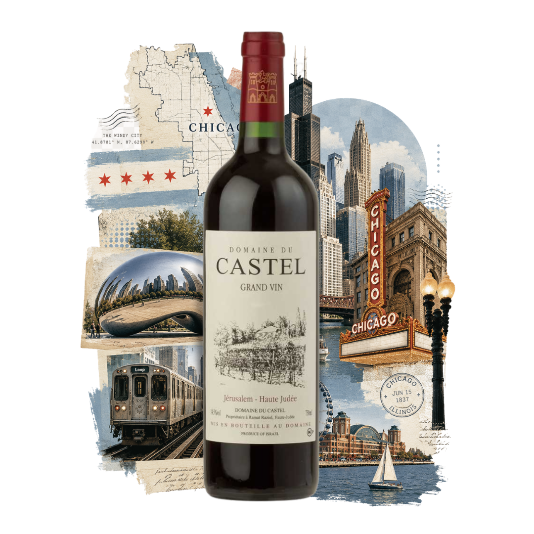 Chicago-themed kosher wine bottle collage featuring the Chicago skyline, Cloud Gate, Chicago L train, Chicago Theatre, Navy Pier, Chicago flag and city map.