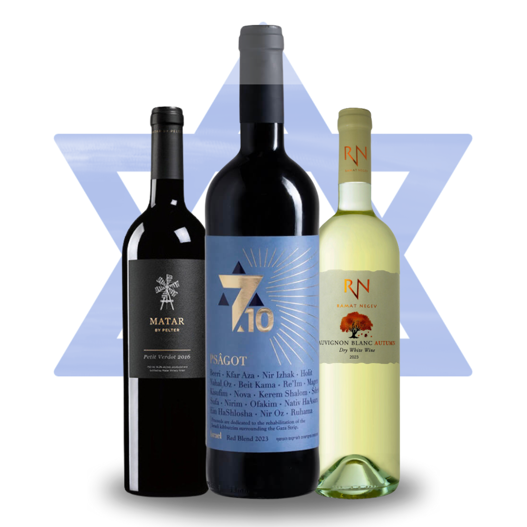 Am Yisrael Chai 7.10 Remembrance Trio