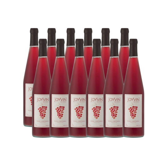 Joyvin Red Rashi (Case)