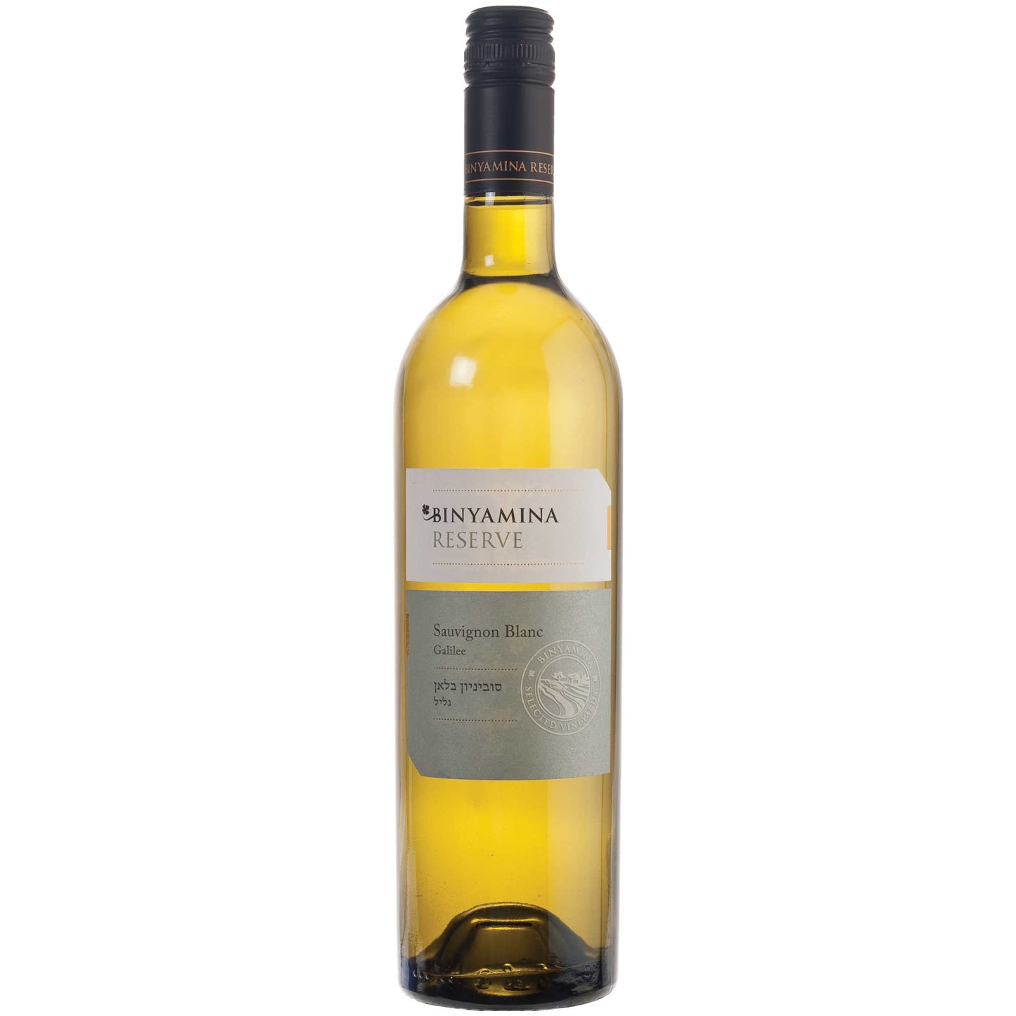 Binyamina Reserve Sauvignon Blanc 2018-Sauvignon Blanc-Binyamina-Kosher Wine Warehouse