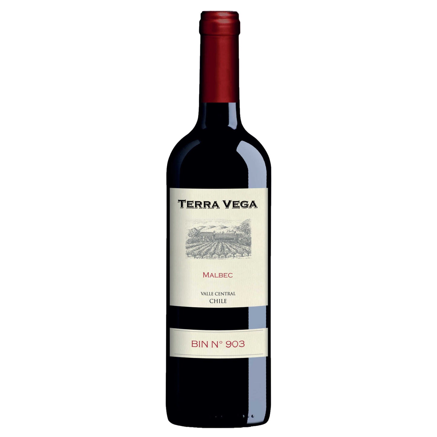 Terra Vega - Malbec 2020-Malbec-Terra Vega-Kosher Wine Warehouse